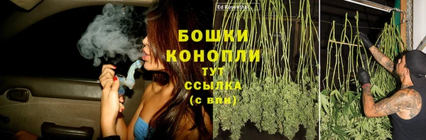гидра Заволжье