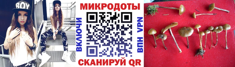 Псилоцибиновые грибы MAGIC MUSHROOMS  Купить закладки  Калач 