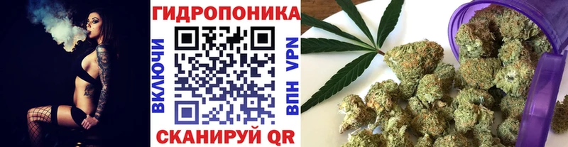 Канабис AK-47  Купить где  Калач 